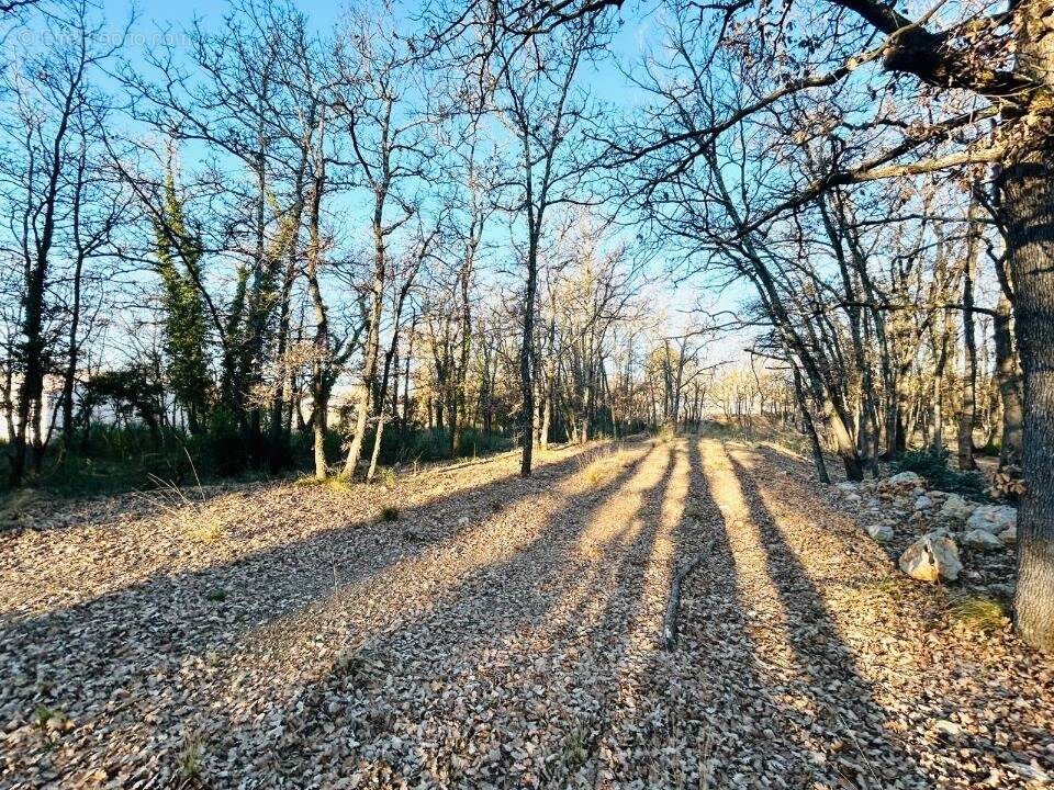 Terrain à TRANS-EN-PROVENCE