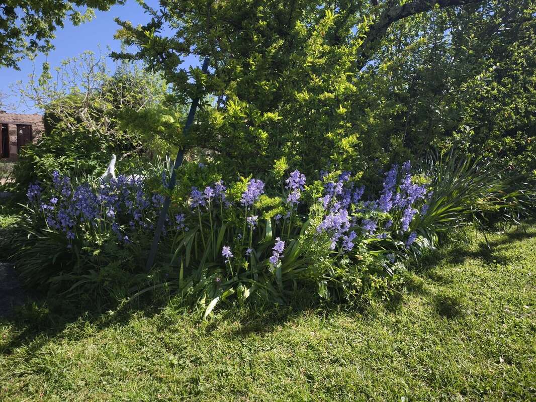Maison à L'HERMENAULT