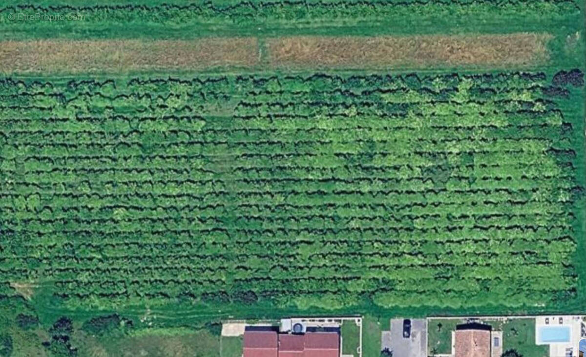 Terrain à PONT-DE-L'ISERE