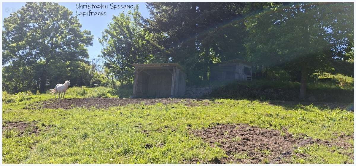 Propriete à vendre 5 pièces ARCONSAT (63) - photo 6