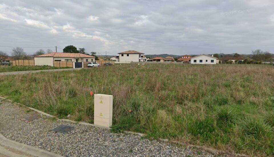 Terrain à MONTESQUIEU-VOLVESTRE