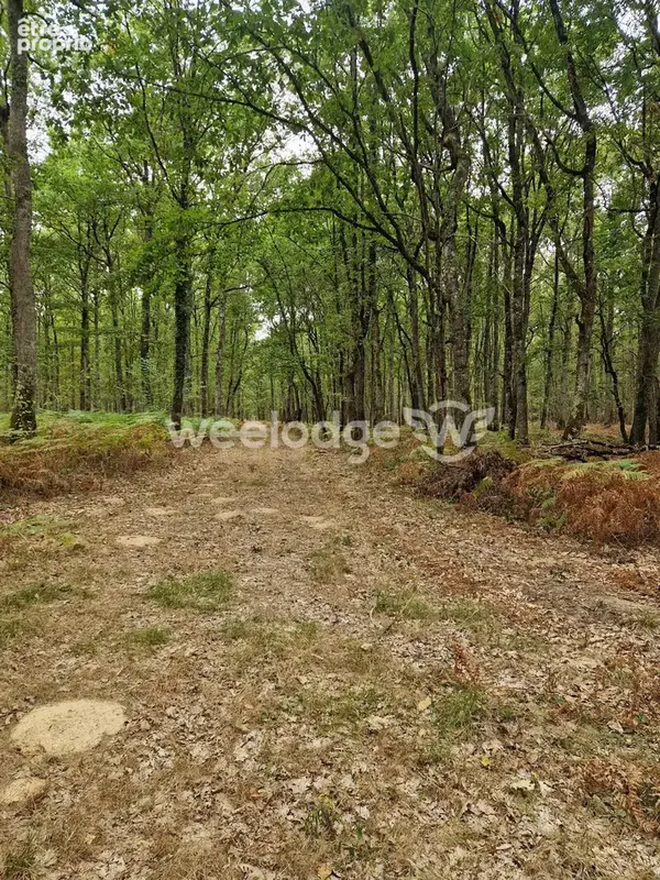 Photo Terrain à Velles au prix de 840 000€