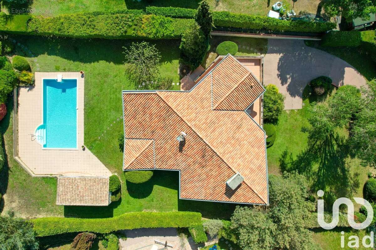 Photo 3 - Maison à MONTRABE