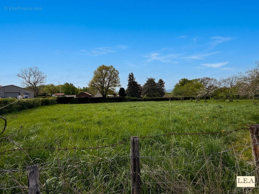 Terrain à SAINT-PARDOUX