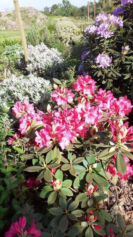 Appartement à PREFAILLES