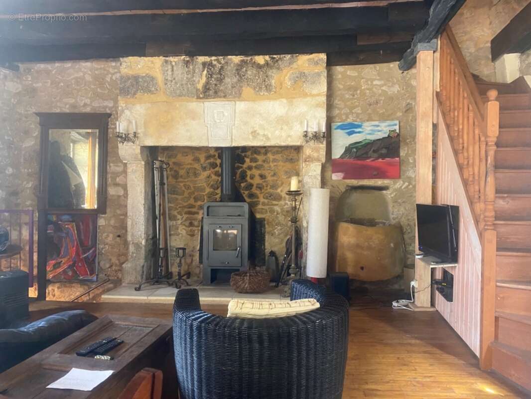 IMG_4295.jpg - Maison à BEYNAC-ET-CAZENAC