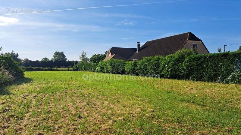 Commerce à SAUVETERRE-DE-BEARN