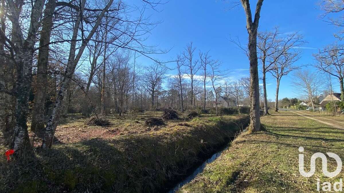 Photo 3 - Terrain à NANCAY
