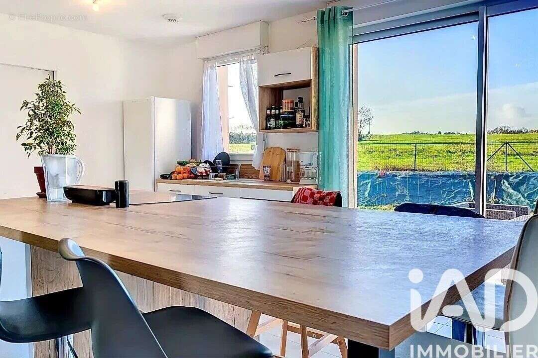 Photo 5 - Maison à CHEMILLE