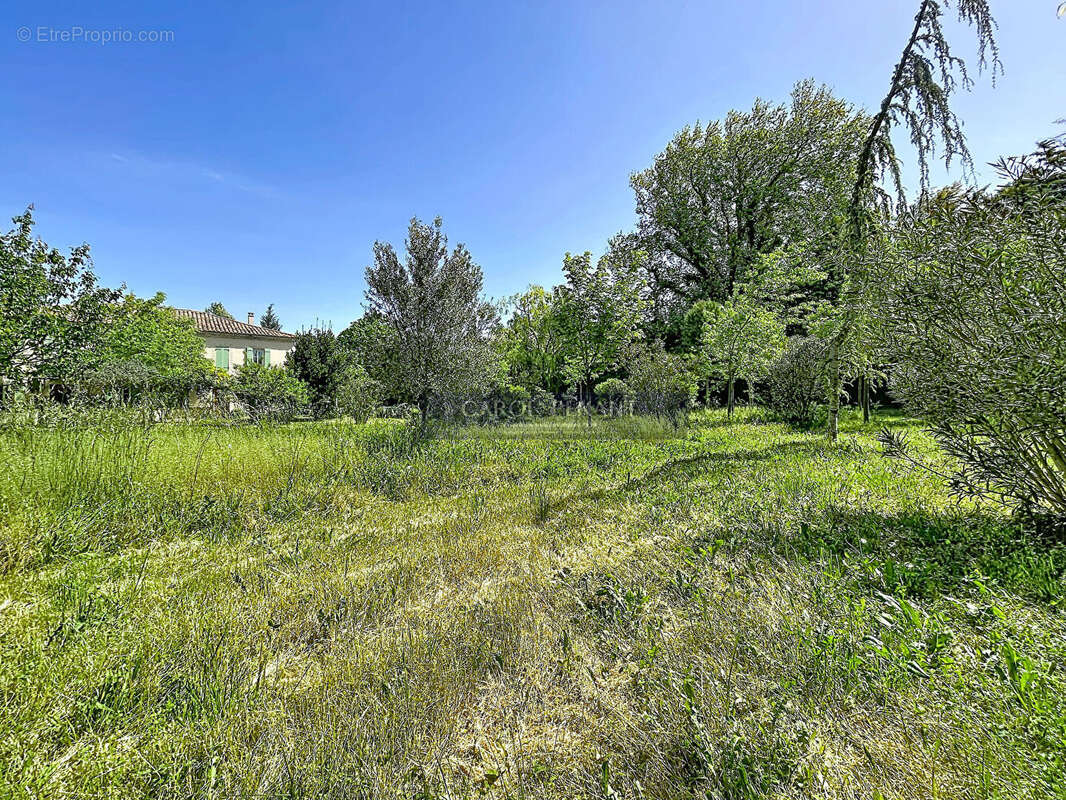 Terrain à LE PONTET