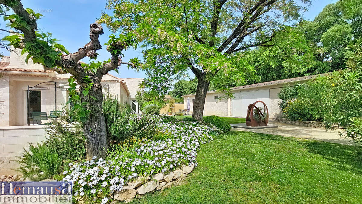 Maison à MONTFRIN
