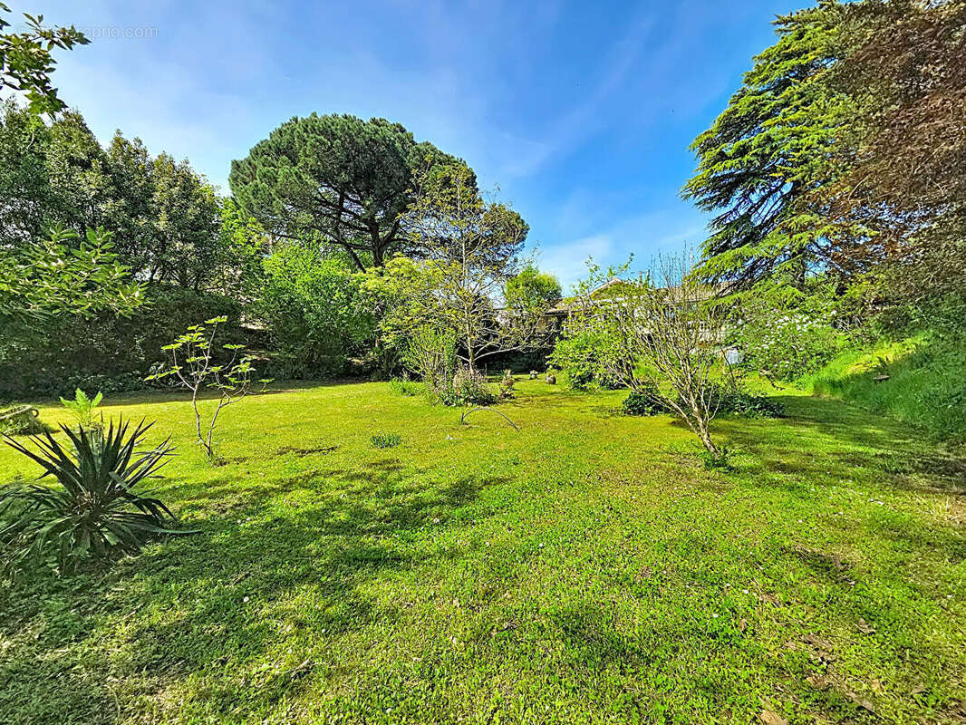 Terrain en ULTRA CENTRE de Pessac (33600) - photo 2