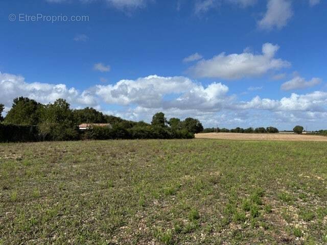 Terrain à SAINT-AGNANT