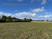 Terrain à SAINT-AGNANT