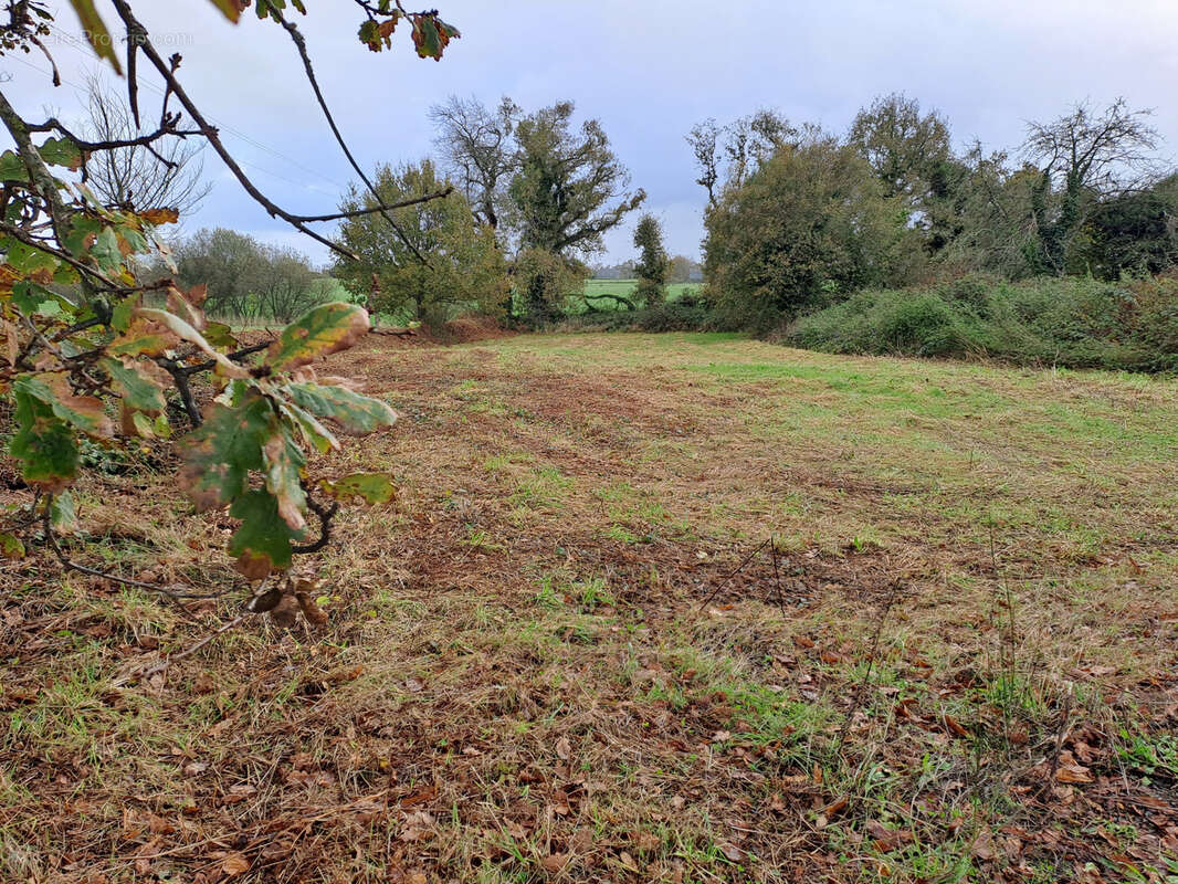 Terrain à ROSPEZ