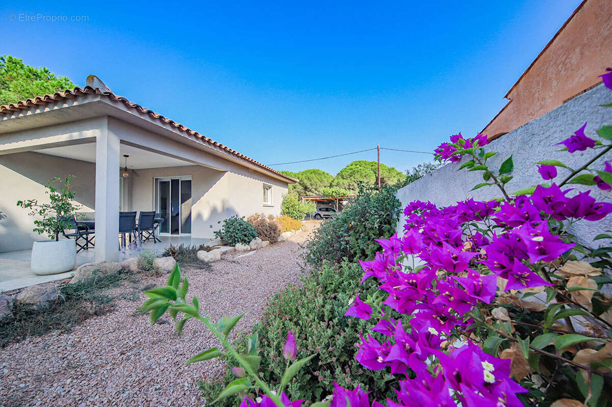 Maison contemporaine avec piscine Porto Vecchio - photo 2