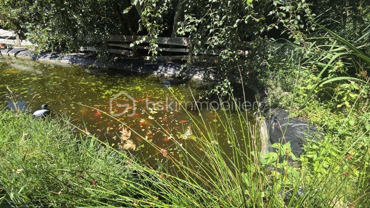 GRANDE LONGERE avec dépendances et terrain de + d’1HA - photo 5