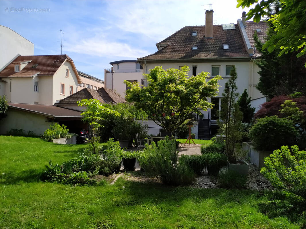 Maison à SCHILTIGHEIM