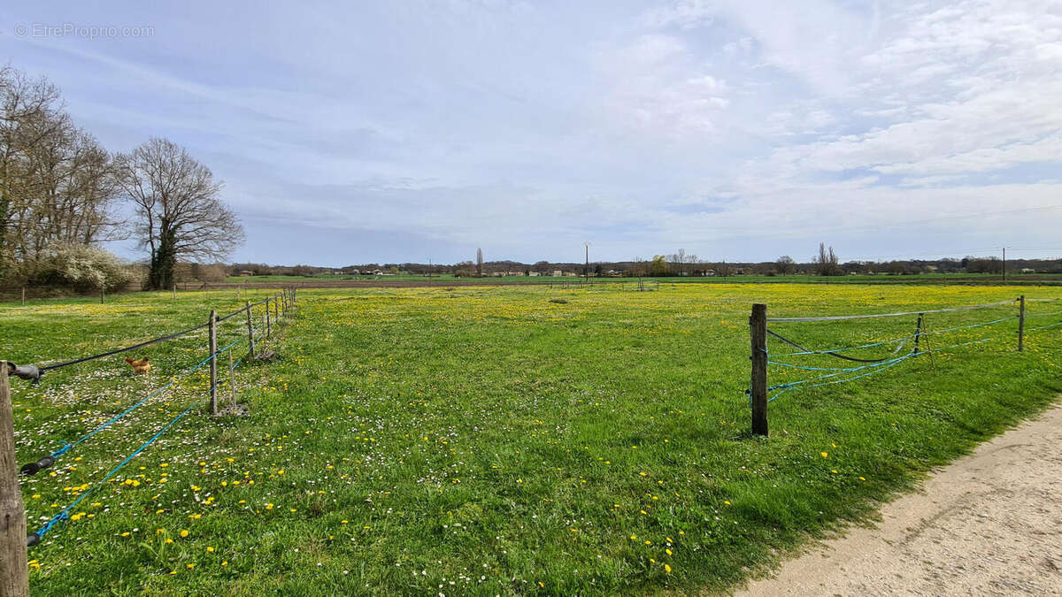 Charente maison a vendre for sale. no neighbours.  - Maison à BONNES