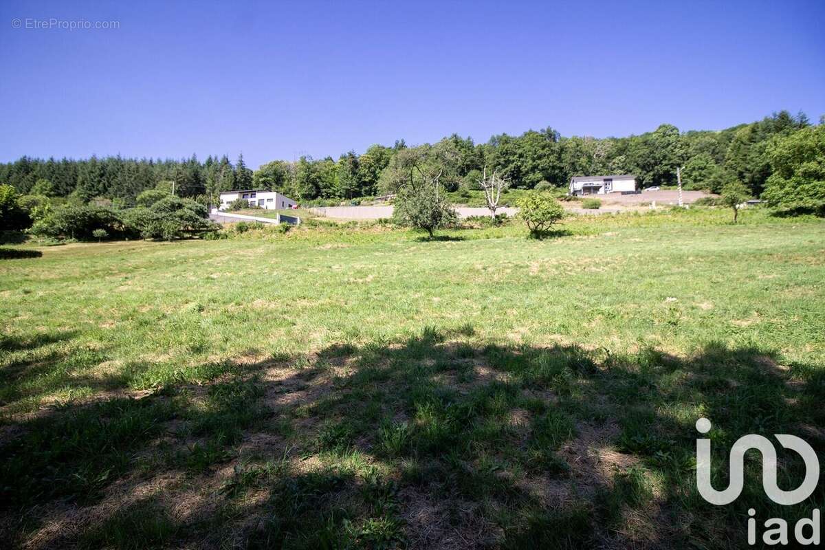 Photo 4 - Terrain à SAINT-MARTIN-DES-OLMES