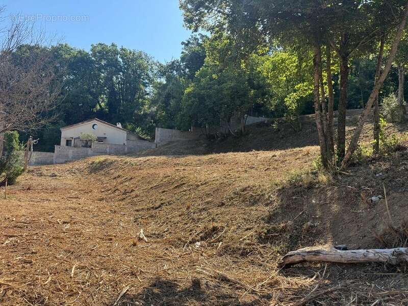 Terrain viabilisé de 628 m² à vendre à Digne-les-Bains – Quartier résidentiel de Chabasse - photo 3