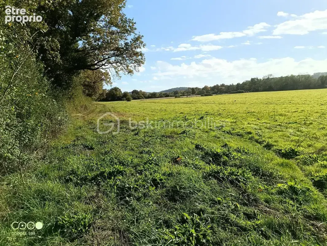 Terrain Agricole d’Exception – 15 Hectares à Aire-sur-l’Adour (40800) - photo 4