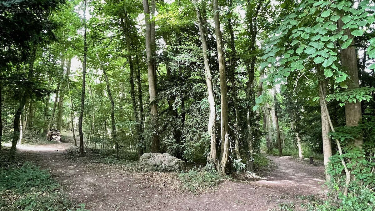 Maison à LA HOUSSAYE