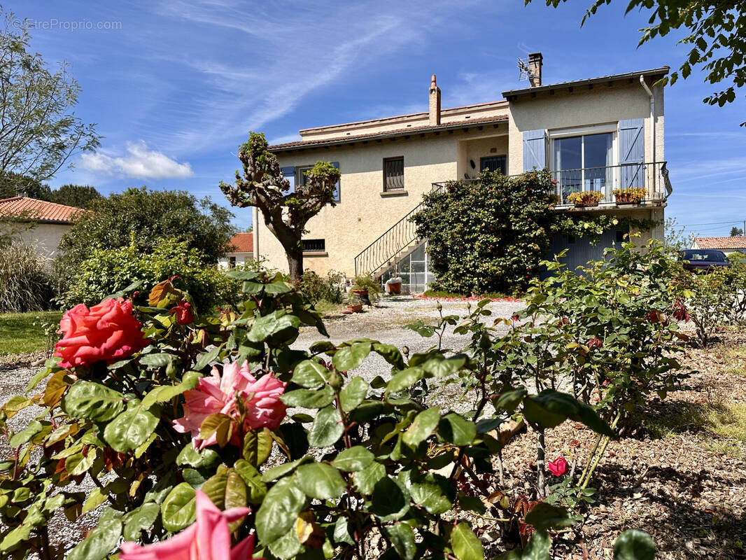 Maison à VIVIERS-LES-MONTAGNES