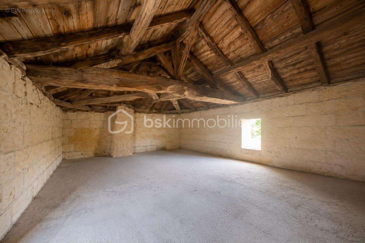 Authentique girondine 260 m² – Terrain arboré de 2 500 m² – Sainte-Terre (33350) - photo 16