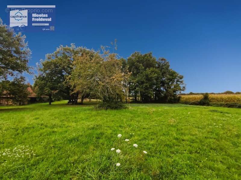 Maison à SAVIGNY-SUR-SEILLE