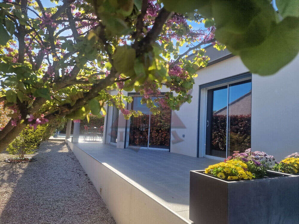Maison à SALINDRES