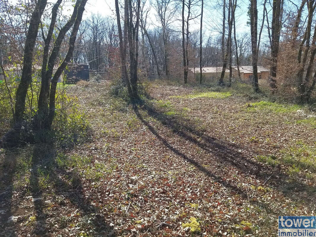 Terrain à PRANZAC
