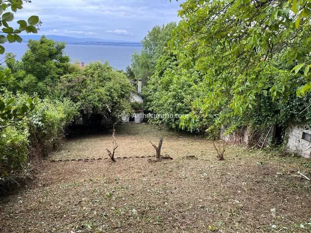 Terrain à EVIAN-LES-BAINS