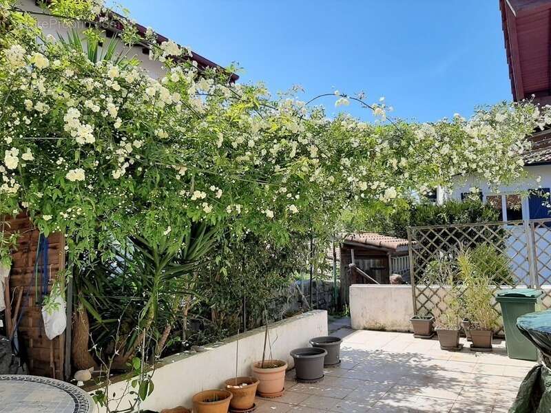 Appartement à CIBOURE