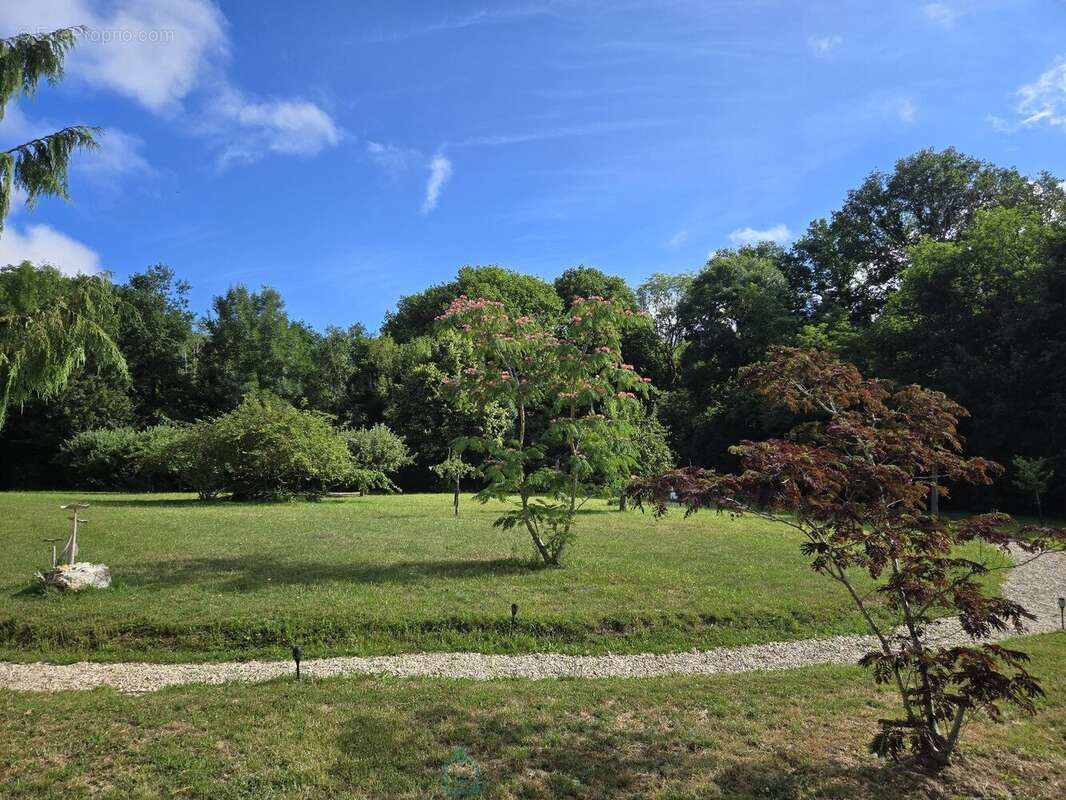 Maison à COULOMMIERS