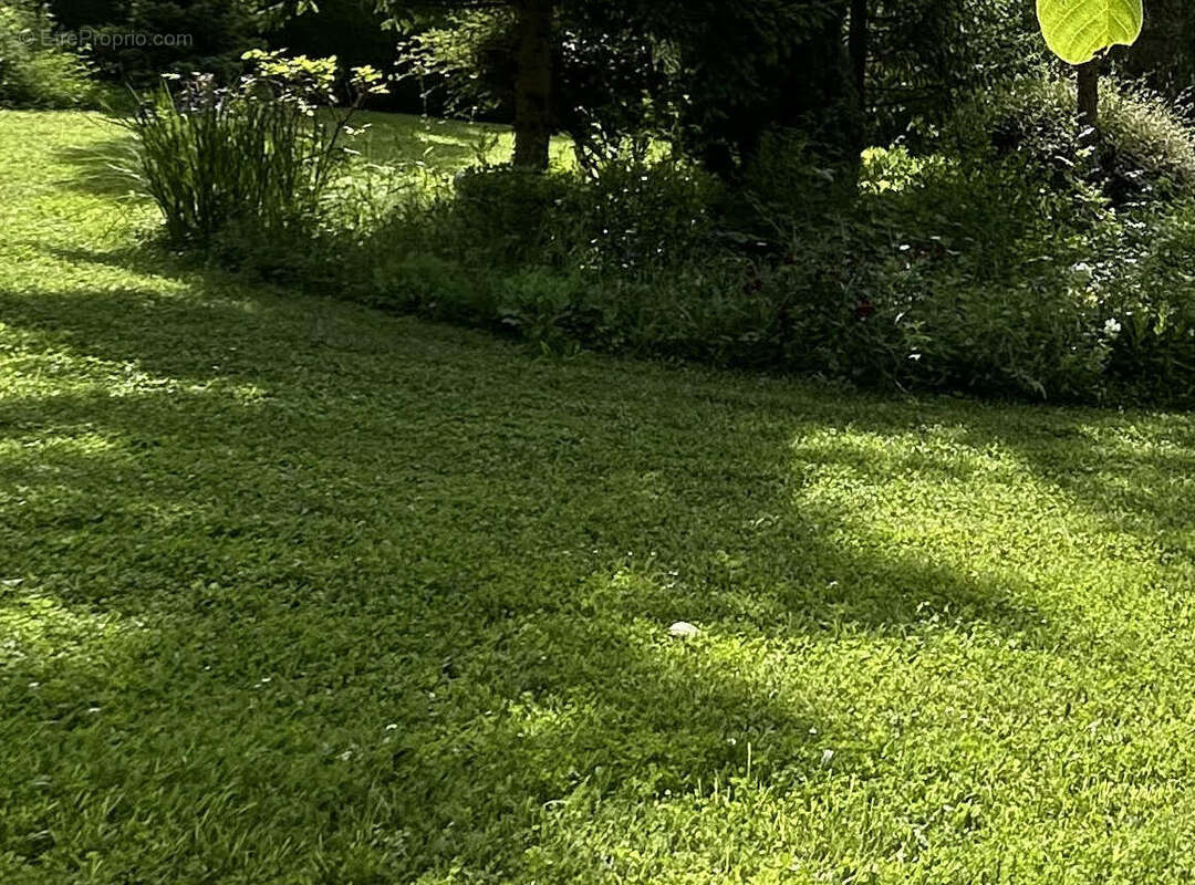 Terrain à LA FERTE-GAUCHER