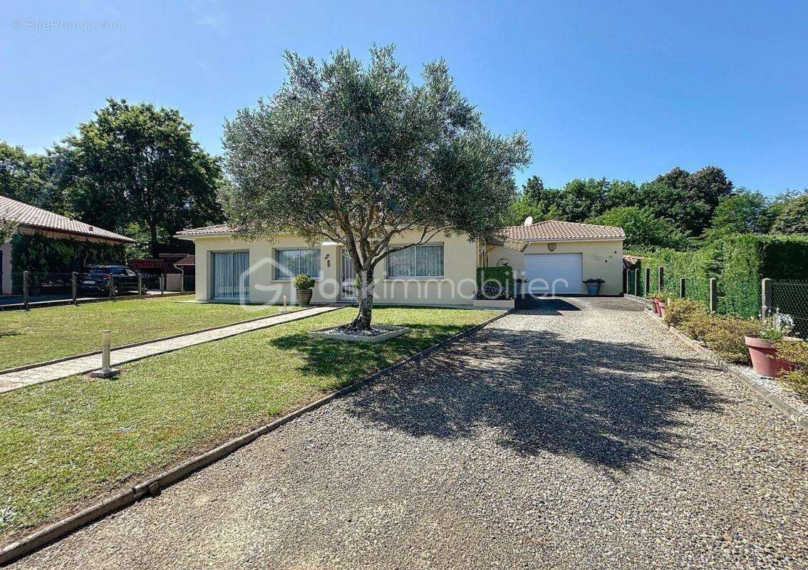 Maison à SAINT-PIERRE-DU-MONT