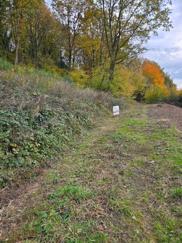 Terrain à NIEDERHASLACH