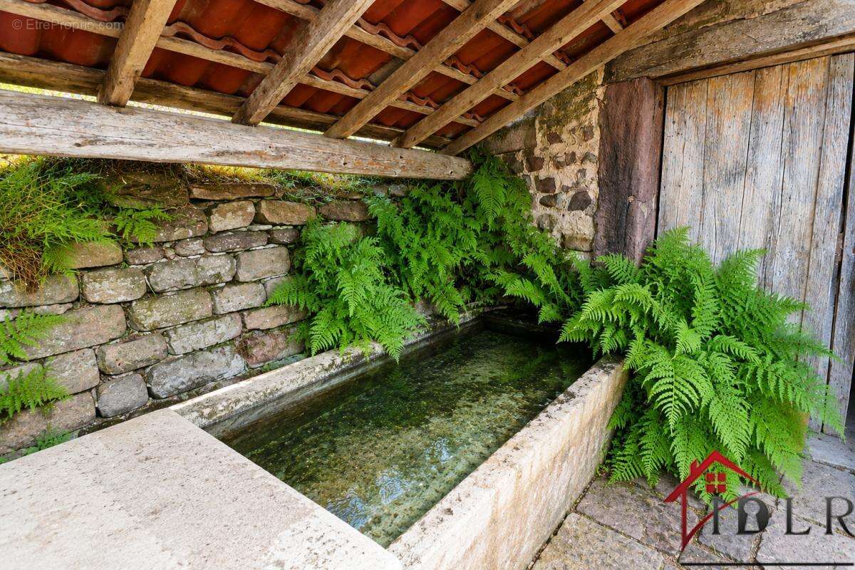 Ferme vosgienne de caractère   Deux logements    Dépendances - photo 25