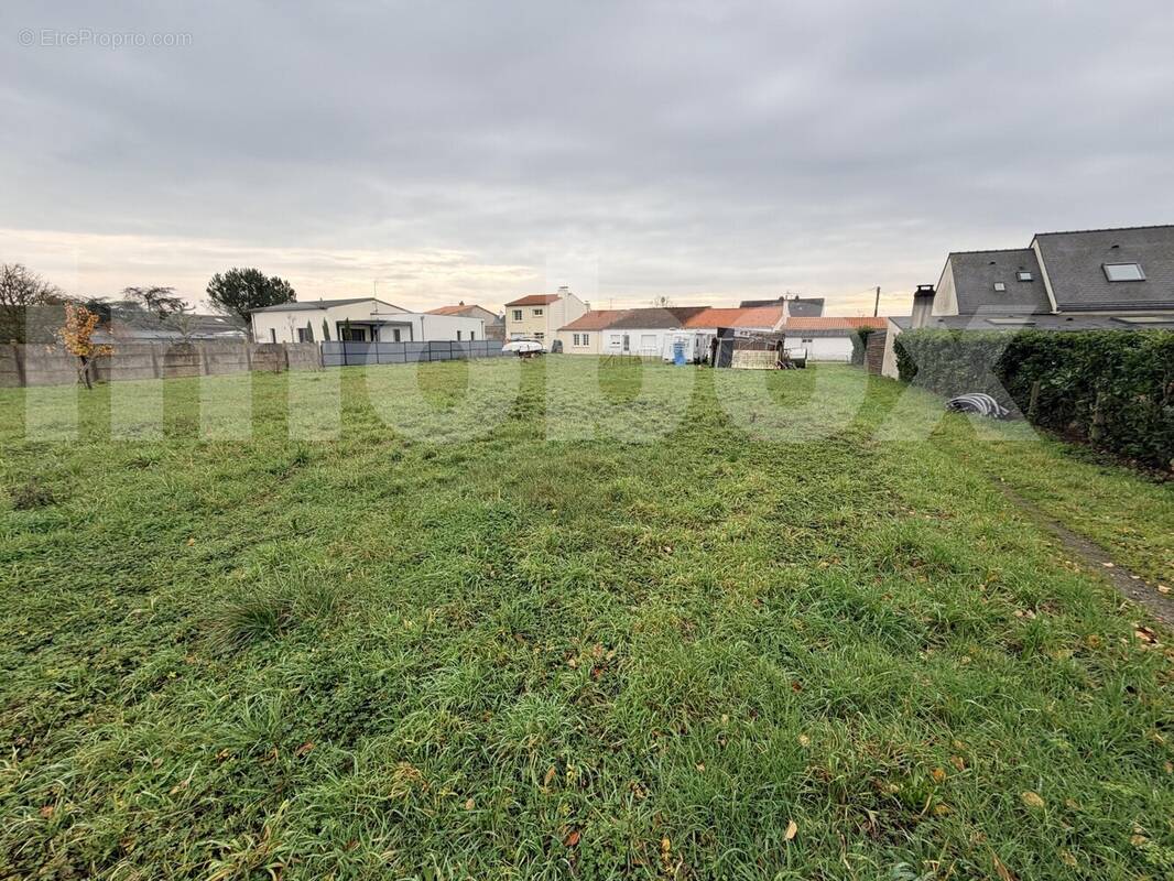 IMG_6536 - Terrain à SAINT-GEREON