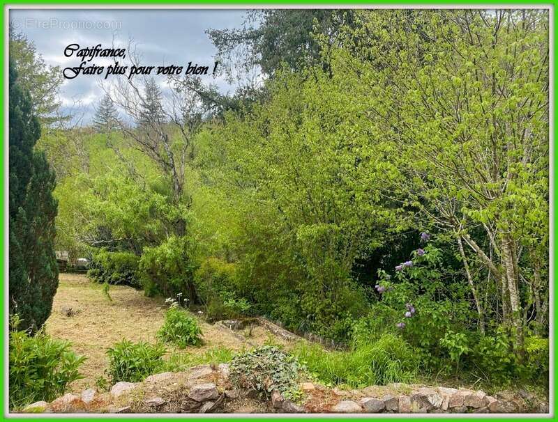 Maison à LA CHAPELLE-SOUS-DUN