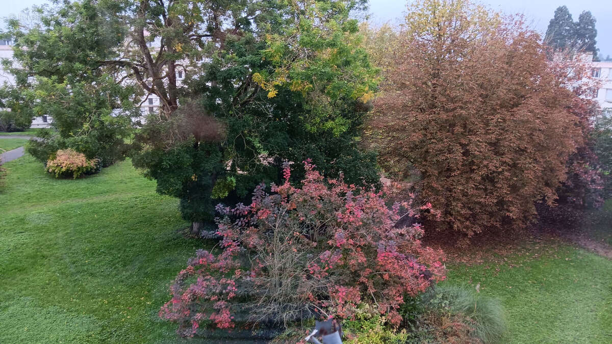 Appartement à TOURS