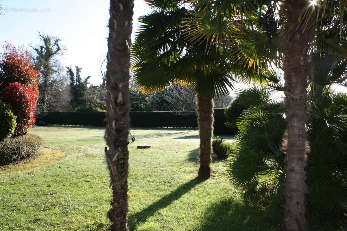 Photo-2025/030953-1-4 - Autre à MONT-DE-MARSAN