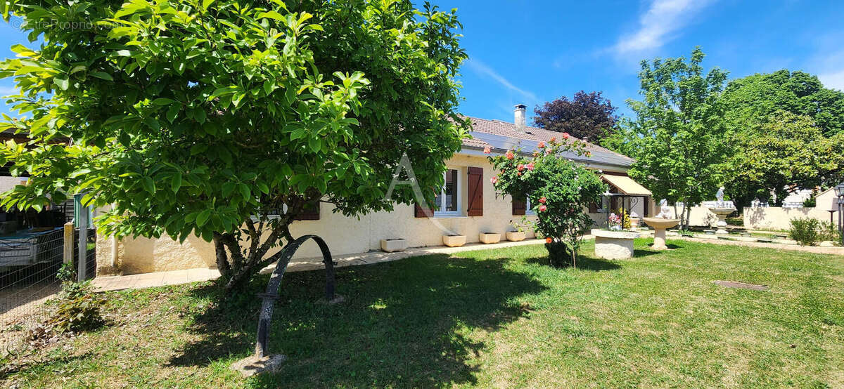 Maison à VIVONNE