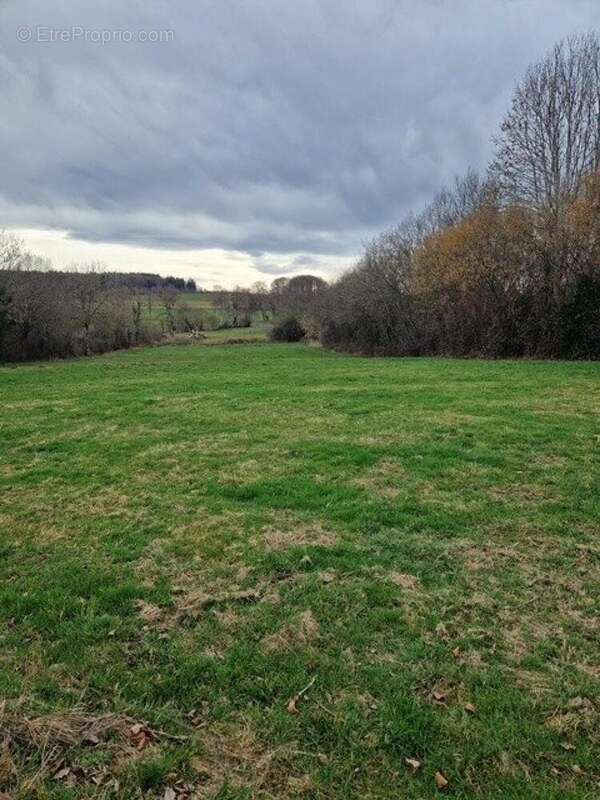 Photo 2 - Terrain à BROMONT-LAMOTHE