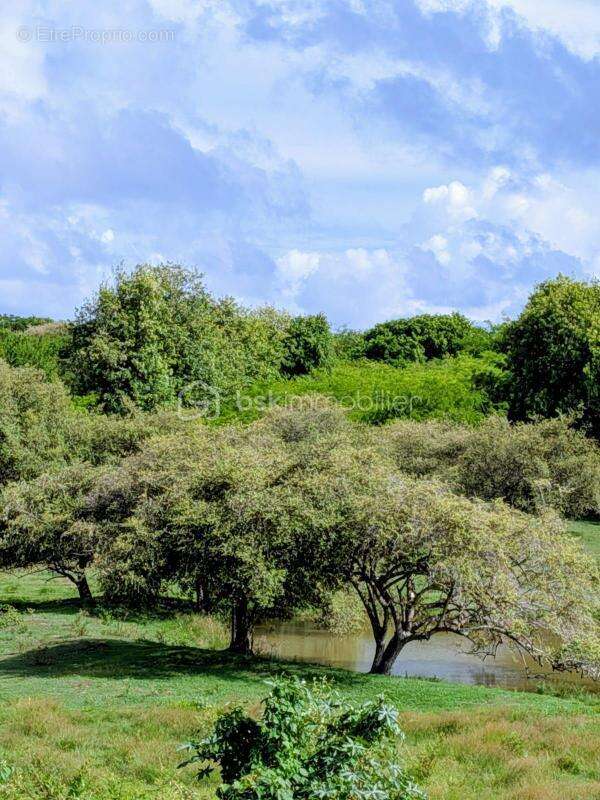 Appartement à LE GOSIER