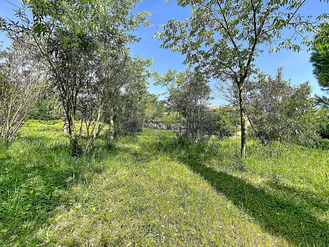 Terrain à LE PONTET