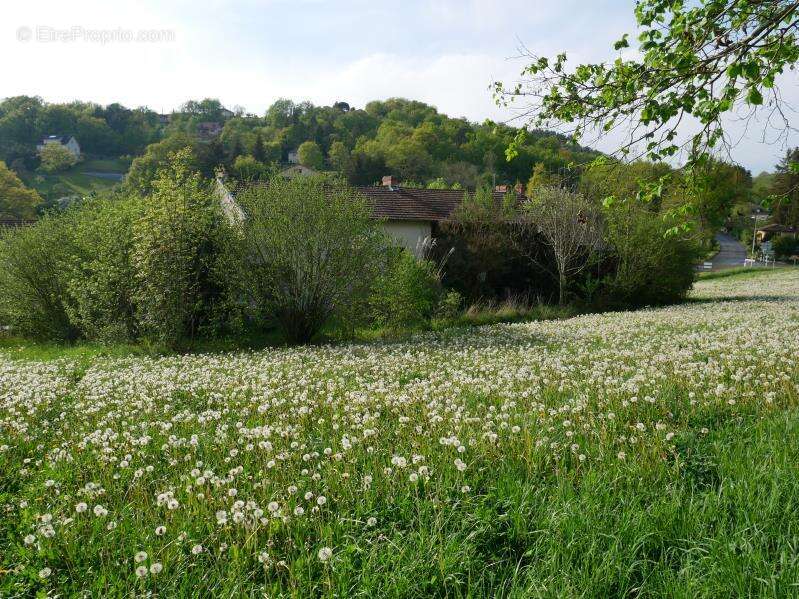 Terrain à LIVINHAC-LE-HAUT