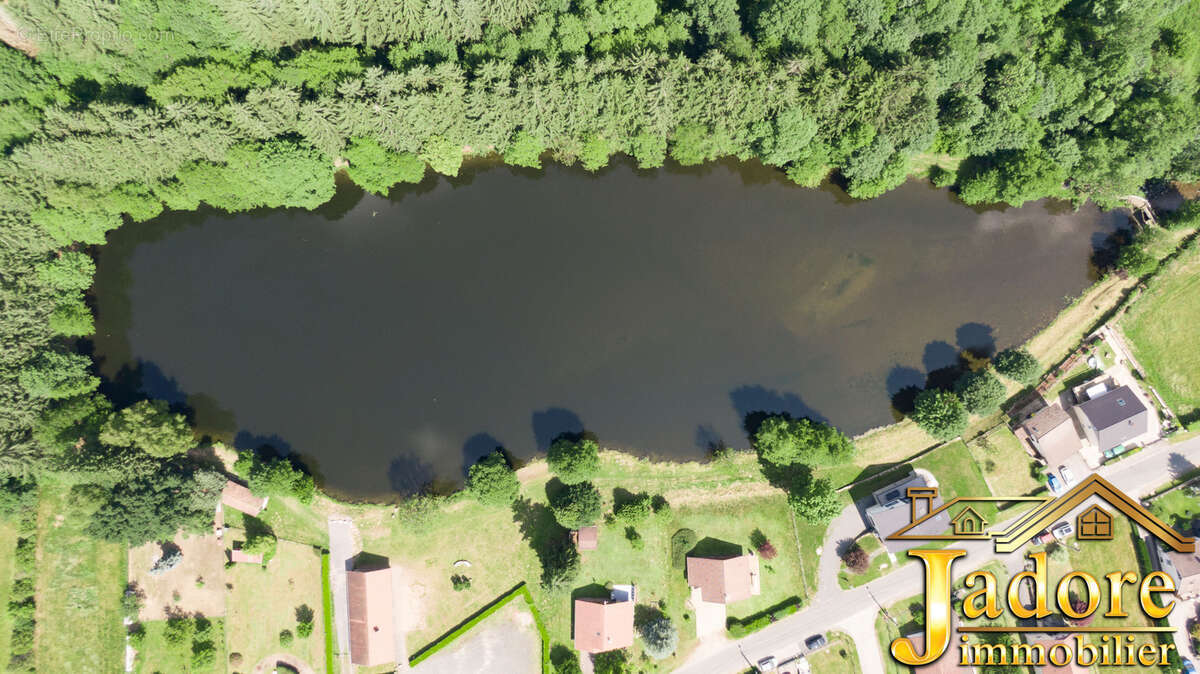 Maison à BAN-SUR-MEURTHE-CLEFCY