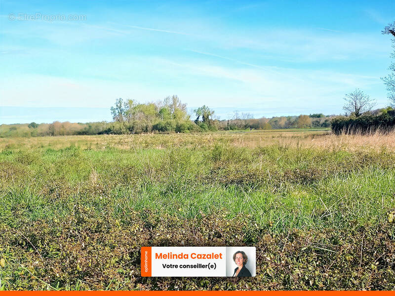 Terrain à OS-MARSILLON